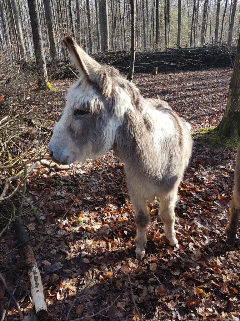 © Alexandra Rügamer, Bad Mergentheim